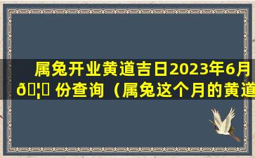 属兔开业黄道吉日2023年6月 🦉 份查询（属兔这个月的黄道吉日开业是哪天）